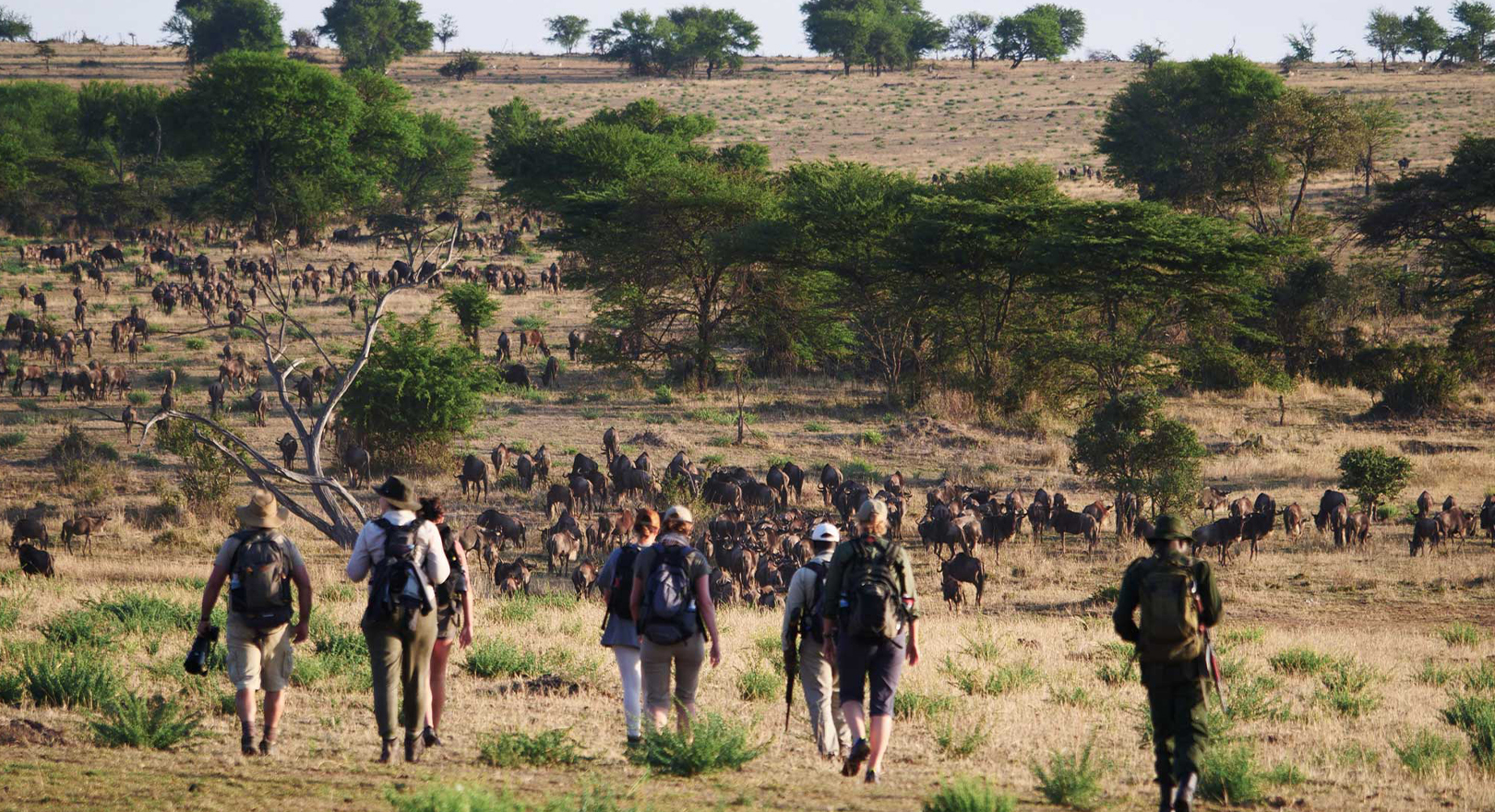 2日間タンザニア中級ロッジサファリ